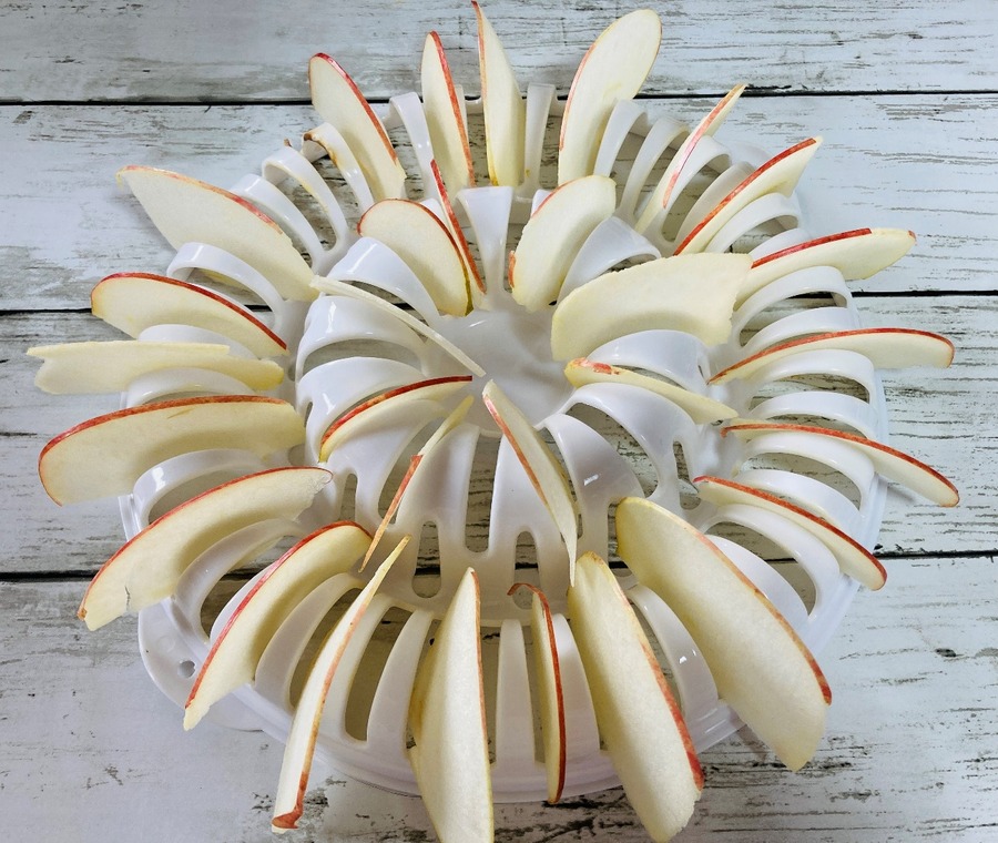 最後に作ったのはりんごチップス