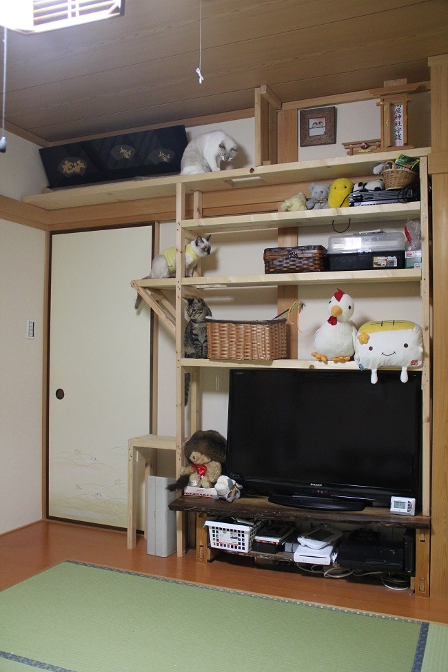 家のサイズに合った「キャットタワー」を自作（DIY）して、費用（1万～数万円）を節約しよう