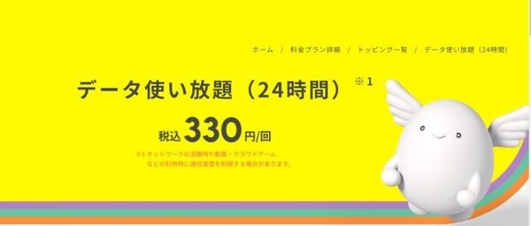 データ使い放題（24時間）