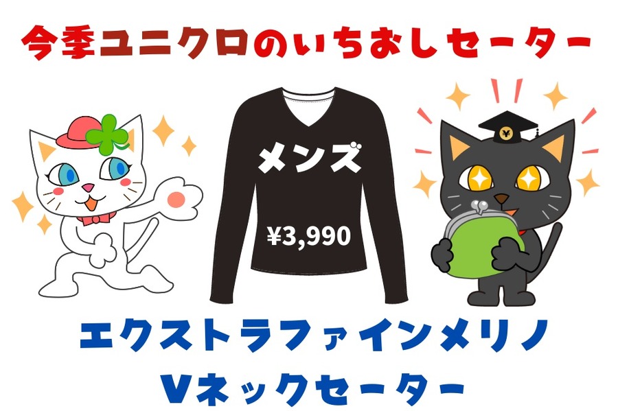 メンズのエクストラファインメリノVネックセーター