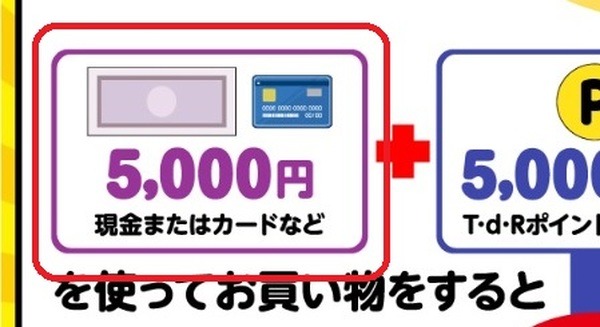 ポイントで支払った後の分は「現金やクレジットカードなど」で払わなくてはいけない