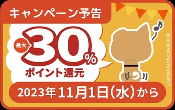 （11/1～30）ハチペイ決済で最大30%還元