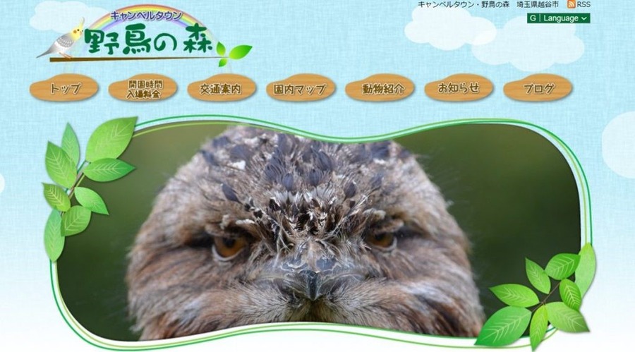 「埼玉県民の日」に利用できる、無料・割引のレジャースポットを紹介！埼玉県以外の施設も？