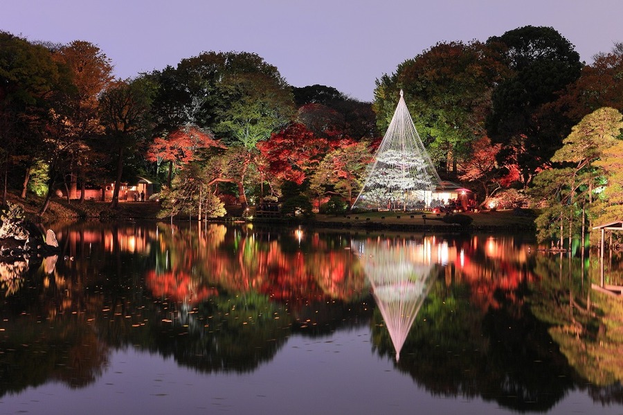 電車で行けちゃう「東京近辺の紅葉スポット」をご紹介