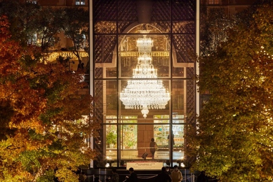 【関東エリア】無料のイルミネーションスポット10選