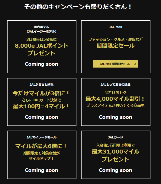 【JALブラックフライデー】11/24～3日間限定　国内線の片道が6,600円～激アツすぎるイベントと注意点