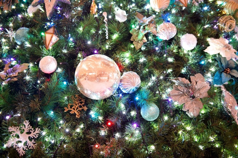 2023年12月の「吉日・凶日」クリスマスのイベント情報