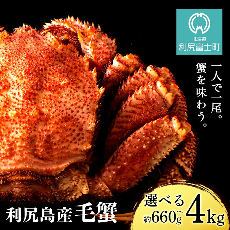 「ふるさと納税の申請がめんどくさい…」その場で納税や申請ができる、ふるさと応援フェスタinチカホ 2023