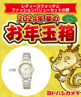 ヨドバシ・ドット・コム会員限定　夢のお年玉箱　抽選申し込み開始！