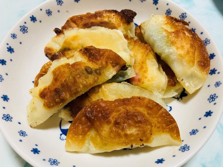 たった3工程で自家製餃子が作れる　ダイソーの「かんたん餃子メーカー」の利便性について検証
