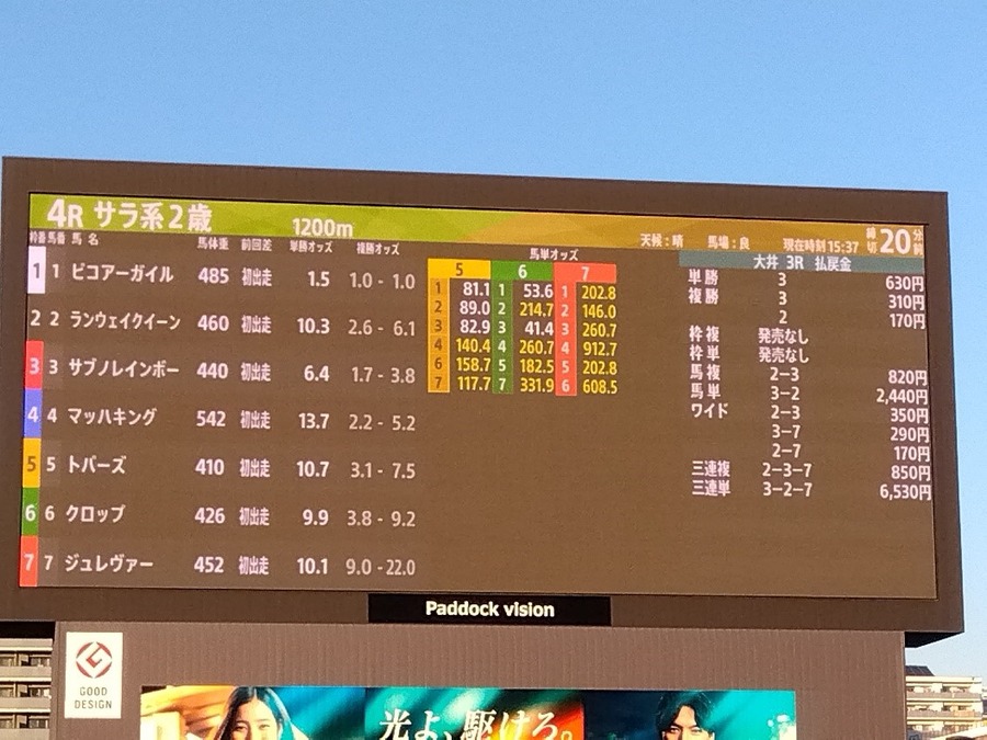 【馬券×PayPay】大井競馬場（東京シティ競馬）導入初日に体験して気づいたメリットと注意点