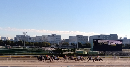 【馬券×PayPay】大井競馬場（東京シティ競馬）導入初日に体験して気づいたメリットと注意点