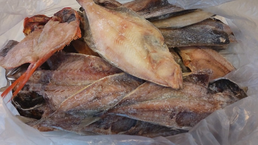 選んでよかった20選【楽天ふるさと納税】ポイ活主婦は納税で「節約・ポイ活」