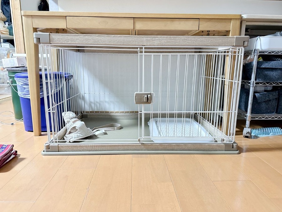 ペットグッズ費用は天井知らず！安くて良いもの、高くても買うものを厳選するメリハリ購入術とは？