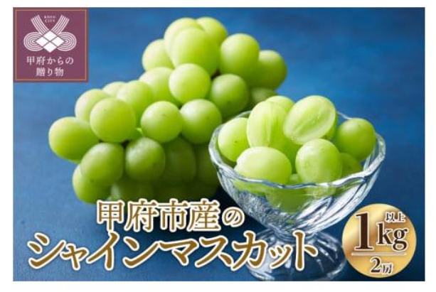 Yahoo!ショッピング×ふるさとチョイス　超PayPay祭と5のつく日で超お得に！かけこみにおすすめ返礼品7選