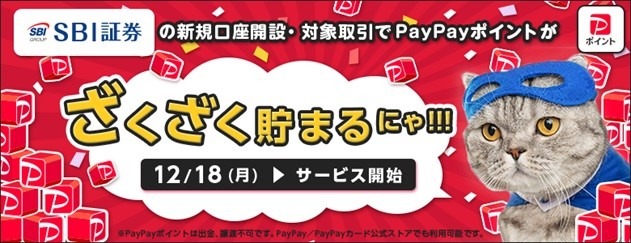 【5分でわかる】SBI証券で「papayポイントを貯める」方法　初期設定と魅力3つ