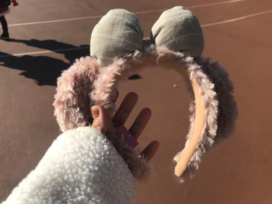 【ディズニー節約術】冬のディズニーをお得に楽しむ裏ワザ20選