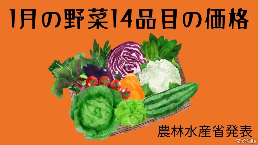 1月の野菜14品目の価格（農林水産省発表）はくさい・きゅうり・ばれいしょがお得！ だいこん・たまねぎはやや高め