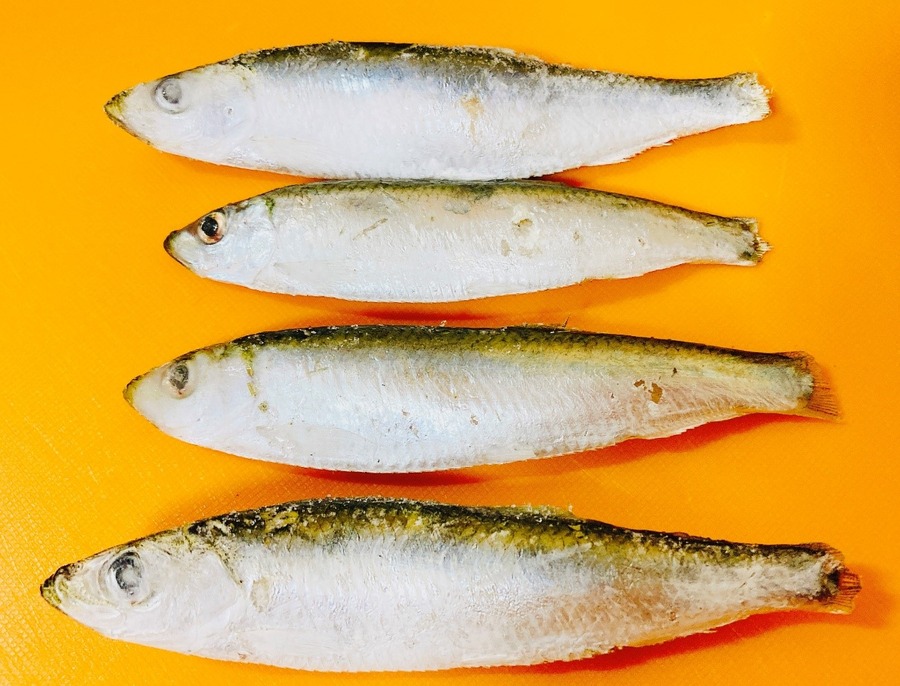 【業スの神コスパ＆隠れた名品】「バルト海いわし」を使ったお財布救済レシピ3選（1食70～130円台）
