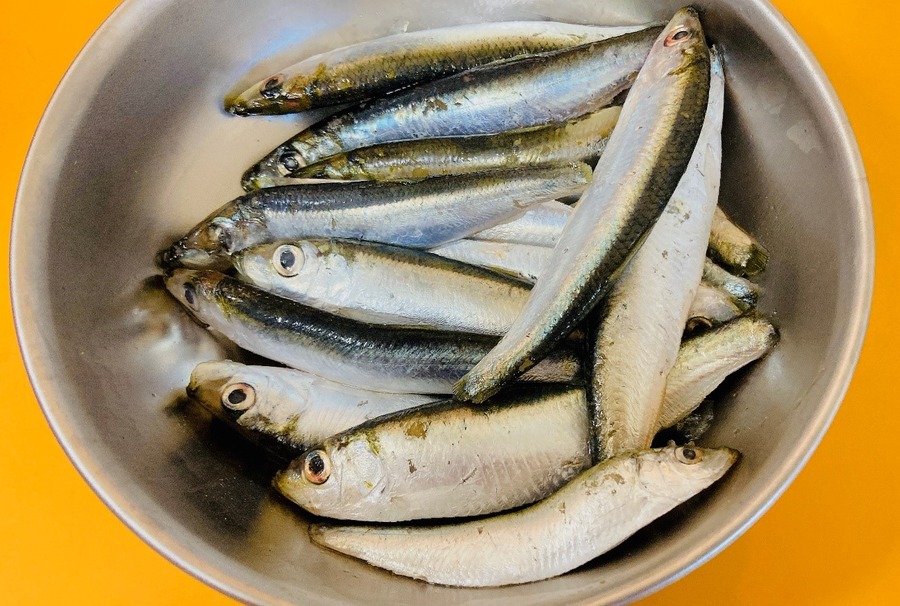 【業スの神コスパ＆隠れた名品】「バルト海いわし」を使ったお財布救済レシピ3選（1食70～130円台）