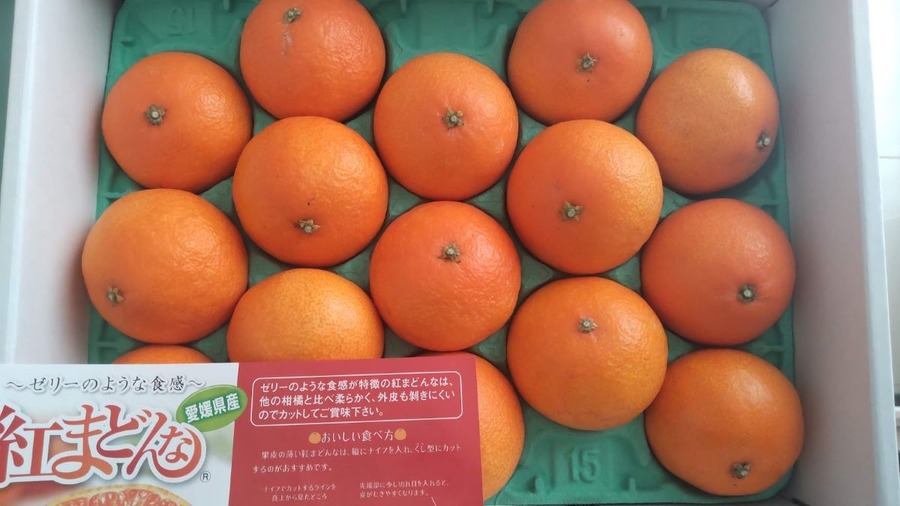 【株主優待】2023年優待株は323銘柄取得の主婦 うれしかった優待ベスト5（食べ物編）