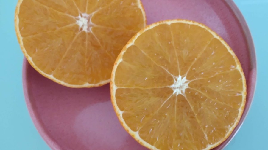 【株主優待】2023年優待株は323銘柄取得の主婦 うれしかった優待ベスト5（食べ物編）