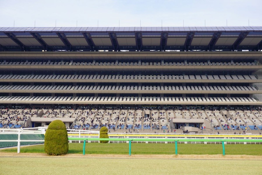 【万馬券的中】ギャンブルの儲けを寄附したら通常より高い節税効果が得られるケースとは？