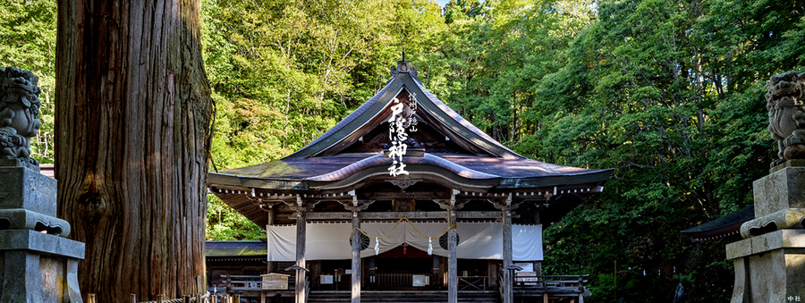 2024年金運・開運神社ベスト5　5位田無神社、3位は長崎、2位は富士山パワーの…そして1位は！　