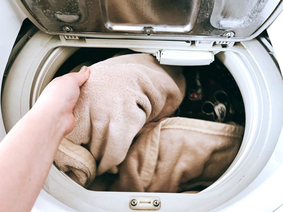 【お金をかけない花粉対策7選】家に持ち込まない・侵入させない！節約主婦の工夫