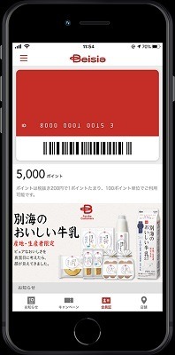 カインズ・ベイシア・ハンズのポイントをおさらい　ベイシア・ハンズ間のみ直接相互交換が不可