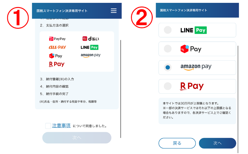 【インボイス・確定申告】消費税納付はアマゾンギフト券がおすすめ　実際の手順とメリットを画像付きで解説