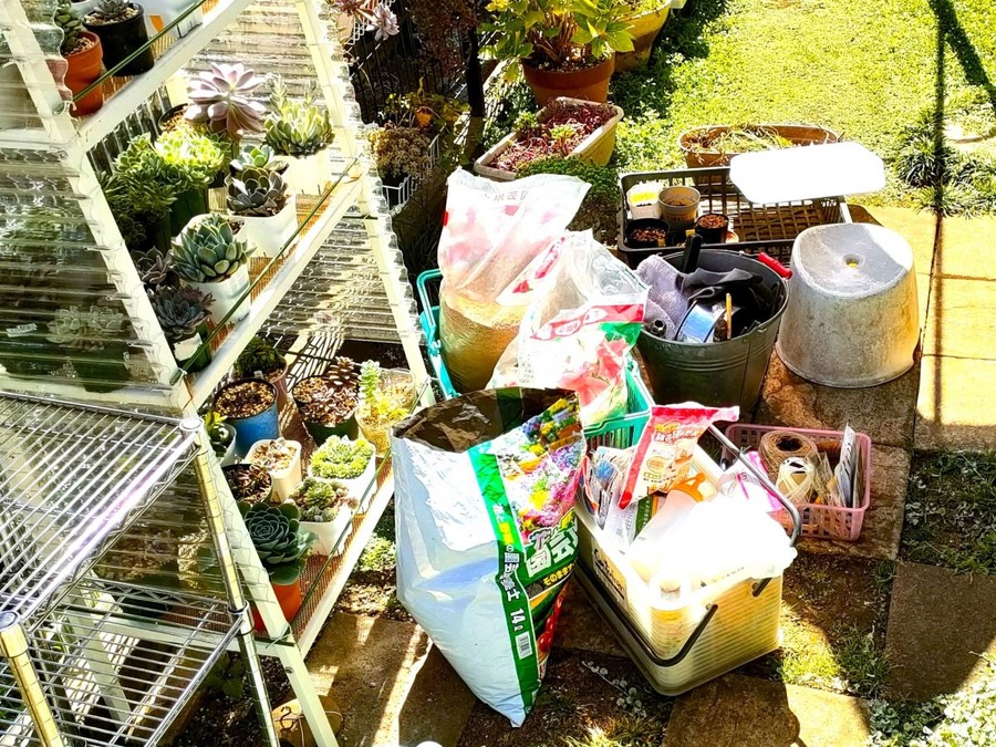 春にメルカリで売れる物は？人気アイテム6つ・意外なあのシールも需要あり