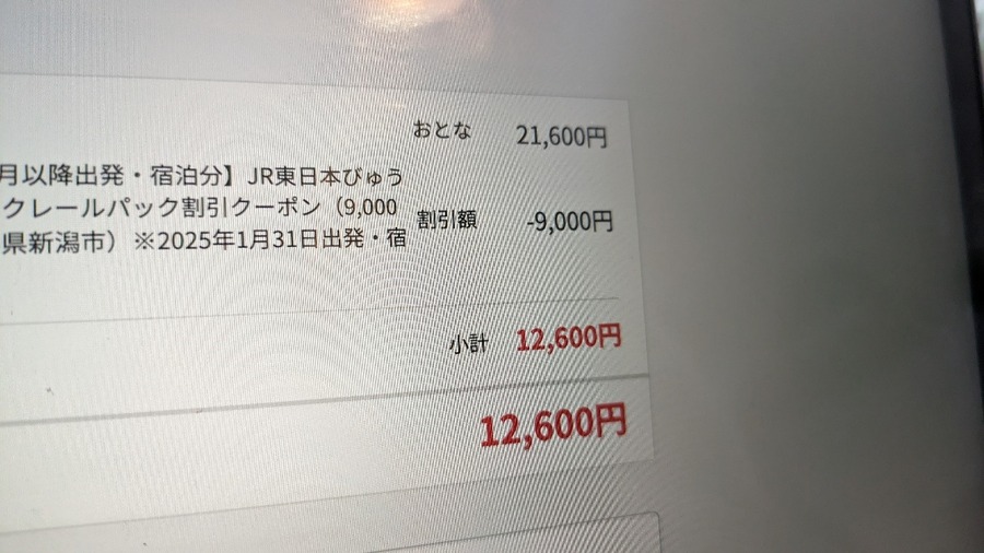 【体験談】旅行をお得に！ふるさと納税で「新幹線パックツアー」　新幹線代だけで宿泊できることもあり