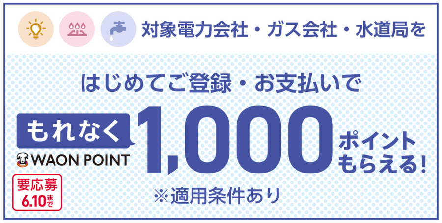 イオンカード入会で1万2000円相当もらえる 2枚目・3枚目OK　最大5,000円キャッシュバックのリボ払いは上級者向け