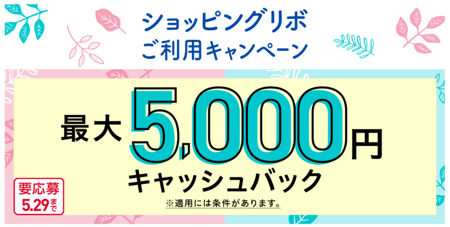 イオンカード入会で1万2000円相当もらえる 2枚目・3枚目OK　最大5,000円キャッシュバックのリボ払いは上級者向け