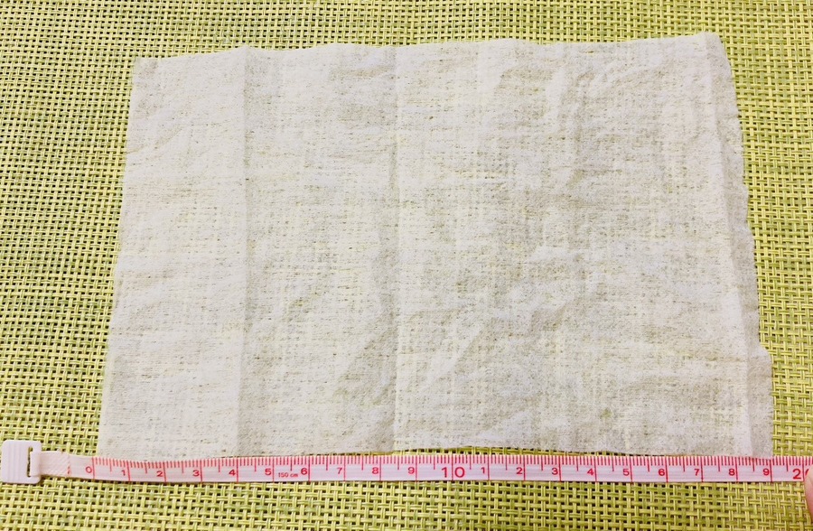 トライアルのPB商品！規格外なでっかいおすすめ3食品＋日用品　コスパとお味も検証