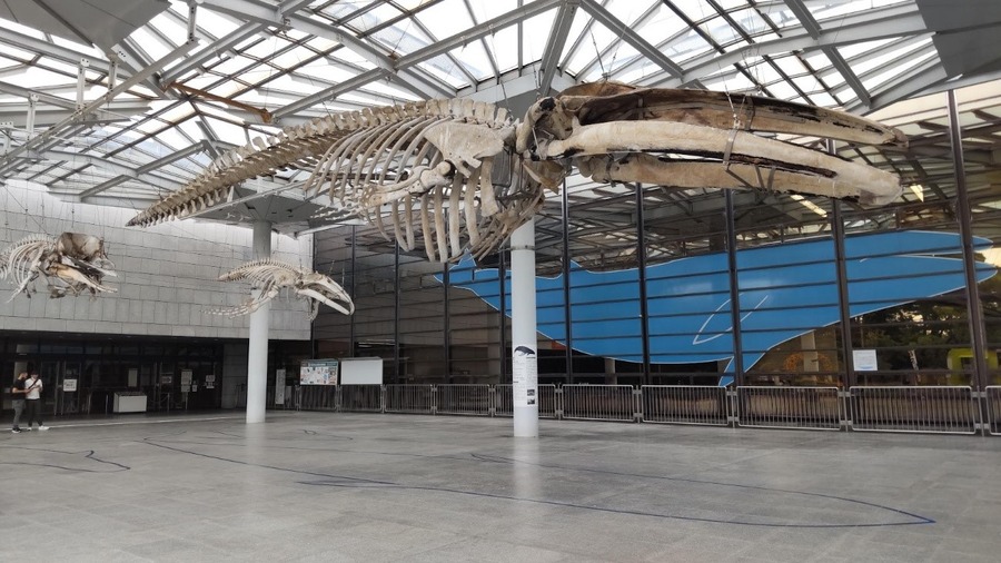 GW無料・お得に遊べる施設（大型公園・工場見学・科学館）10選 【関西編】