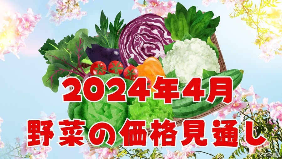 【4月の野菜の価格】今月もばれいしょがお買い得！農林水産省より、野菜の生育状況及び価格見通し発表