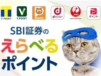 共通ポイントどれを貯めたら良い？ウエルシア・すき家・SBI証券・コスモ石油・丸善で考える　新Vポイント誕生で動きあり