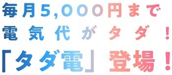 【電気料金】「再エネ賦課金」値上げ＆政府の補助終了へ　お得な電力会社・プランで乗り切ろう