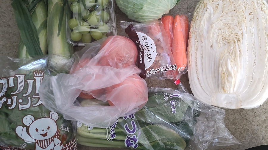 食費2万円台の節約主婦のお買物術10選を伝授！基本から応用まで公開