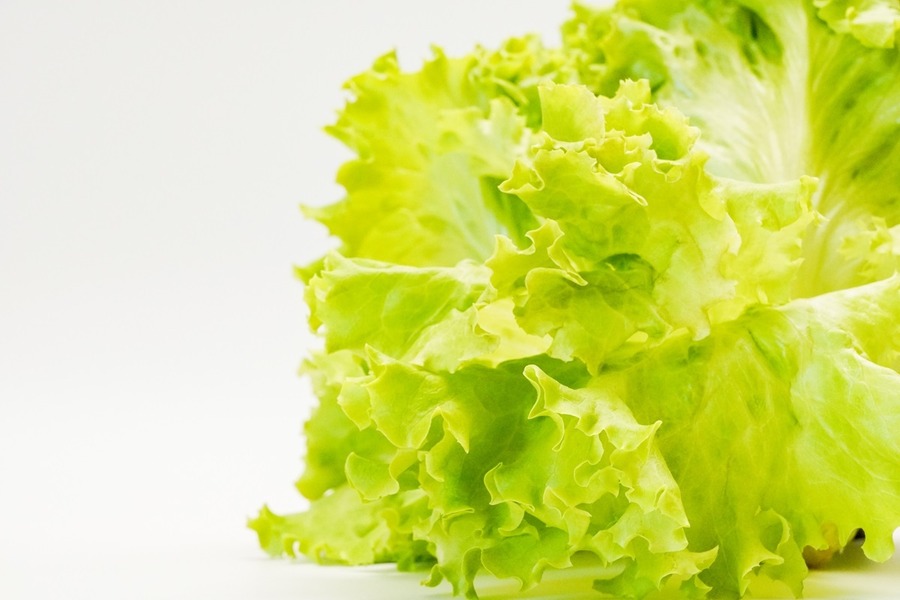 【5月の野菜の価格】ばれいしょがお得！野菜の高値はまだ続くのか。農林水産省より野菜の生育状況及び価格見通し発表