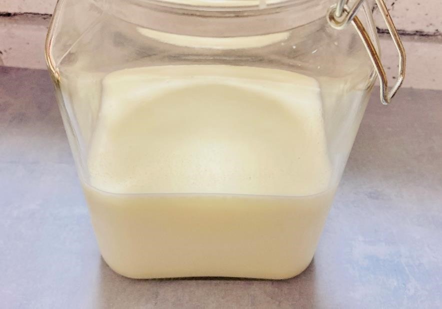 材料2つだけで作れる　無限に食べられる自家製カスピ海ヨーグルト
