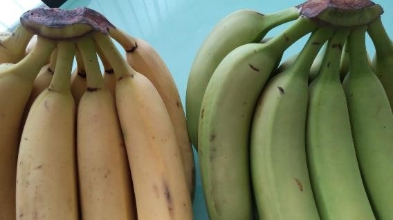 食費2万円台の節約主婦のお買物術7選　こだわるのは「1個あたりの金額」だった