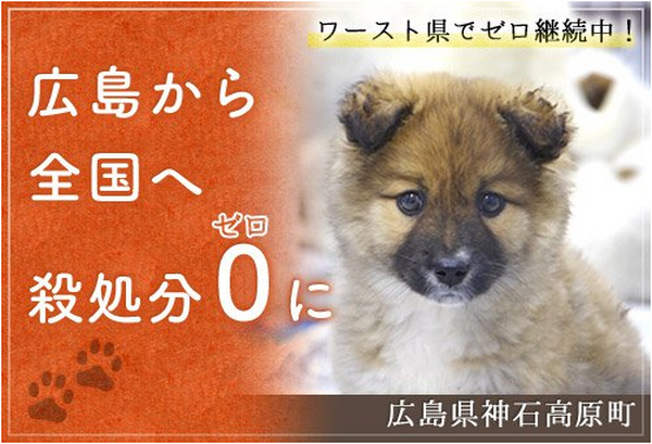 【2016年ふるさと納税】八代亜紀さんの特別プランも　あなたの寄付が地元の活性化に繋がる