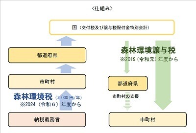 【森林環境税】を解説　今年度より創設され年額1000円　お得な納付方法も紹介