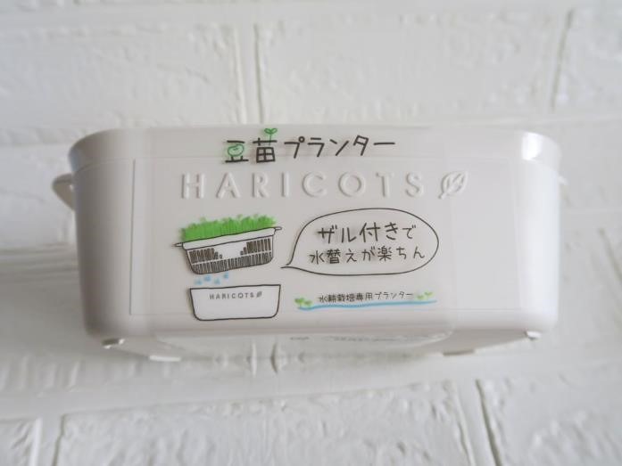 ダイソーで「プチプラ園芸・ガーデニング」をはじめてみよう！