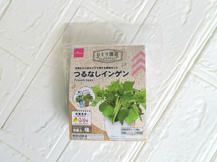 ダイソーで「プチプラ園芸・ガーデニング」をはじめてみよう！