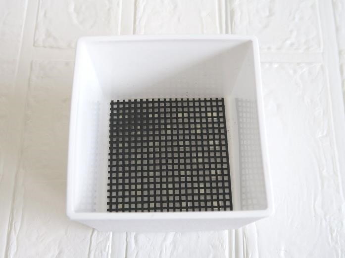 ダイソーで「プチプラ園芸・ガーデニング」をはじめてみよう！