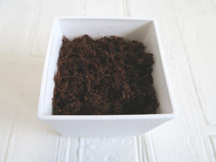 ダイソーで「プチプラ園芸・ガーデニング」をはじめてみよう！